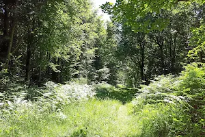 Forêt Domaniale de Lyons image