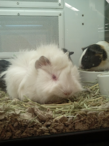 Pet Supply Store «Petco Animal Supplies», reviews and photos, 2095 N Harris Blvd, Layton, UT 84041, USA