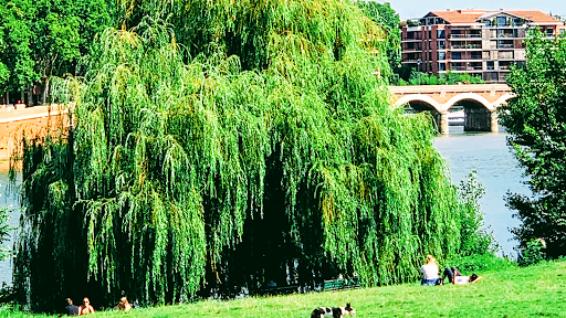 Parcs intérieurs vert à proximité en Toulouse