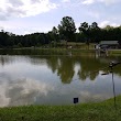 Willie's Fish Lake