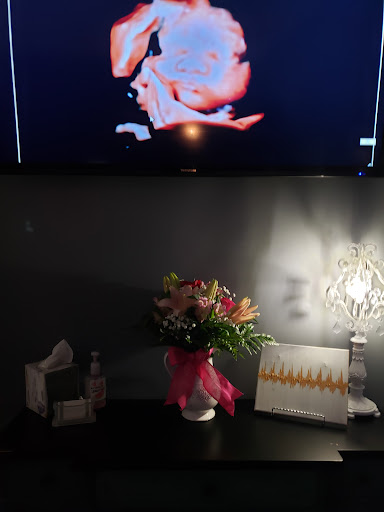 Florist «Floreria Mexico», reviews and photos, 14 N Union St, Aurora, IL 60505, USA