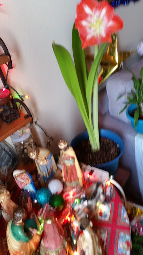 Discount Store «Fallas Paredes Discount Stores», reviews and photos, 5461 N Figueroa St, Highland Park, CA 90270, USA