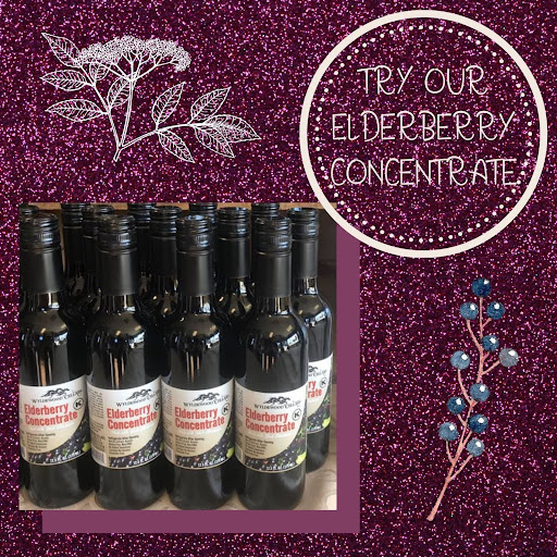 Winery «Wyldewood Cellars Winery», reviews and photos, 218 E Lincoln St, St Joseph, IL 61873, USA