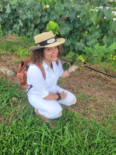 Farm «Jaemor Farms», reviews and photos, 5340 Cornelia Hwy, Alto, GA 30510, USA