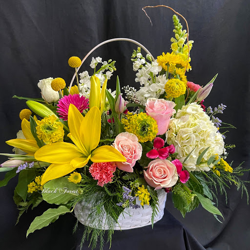 Florist «Black Forest Flowers and Gifts», reviews and photos, 3426 Tampa Rd, Palm Harbor, FL 34684, USA