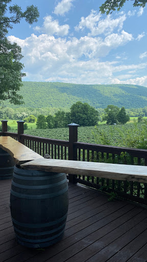 Winery «Inspire Moore Winery», reviews and photos, 197 N Main St, Naples, NY 14512, USA