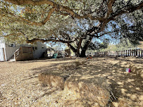 Hillside Early Childhood Center - Photo 3 - Car repair in Austin, TX, Austin