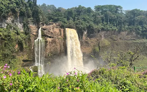 Ekom Nkam Waterfalls image