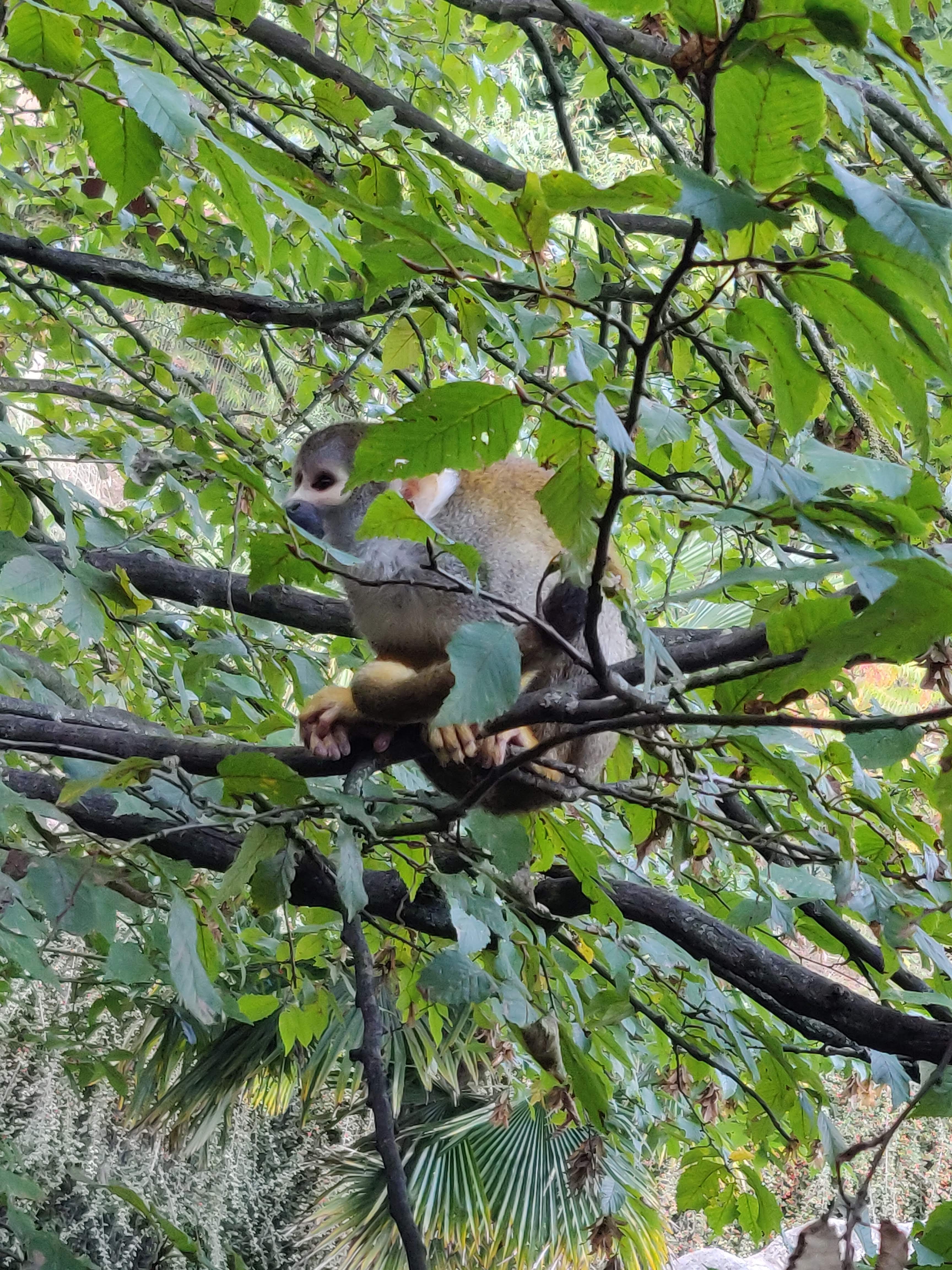 Photo n° 7 de l'avis de Kelly.e fait le 06/10/2020 à 20:25