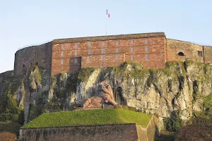 The Lion of Bartholdi image