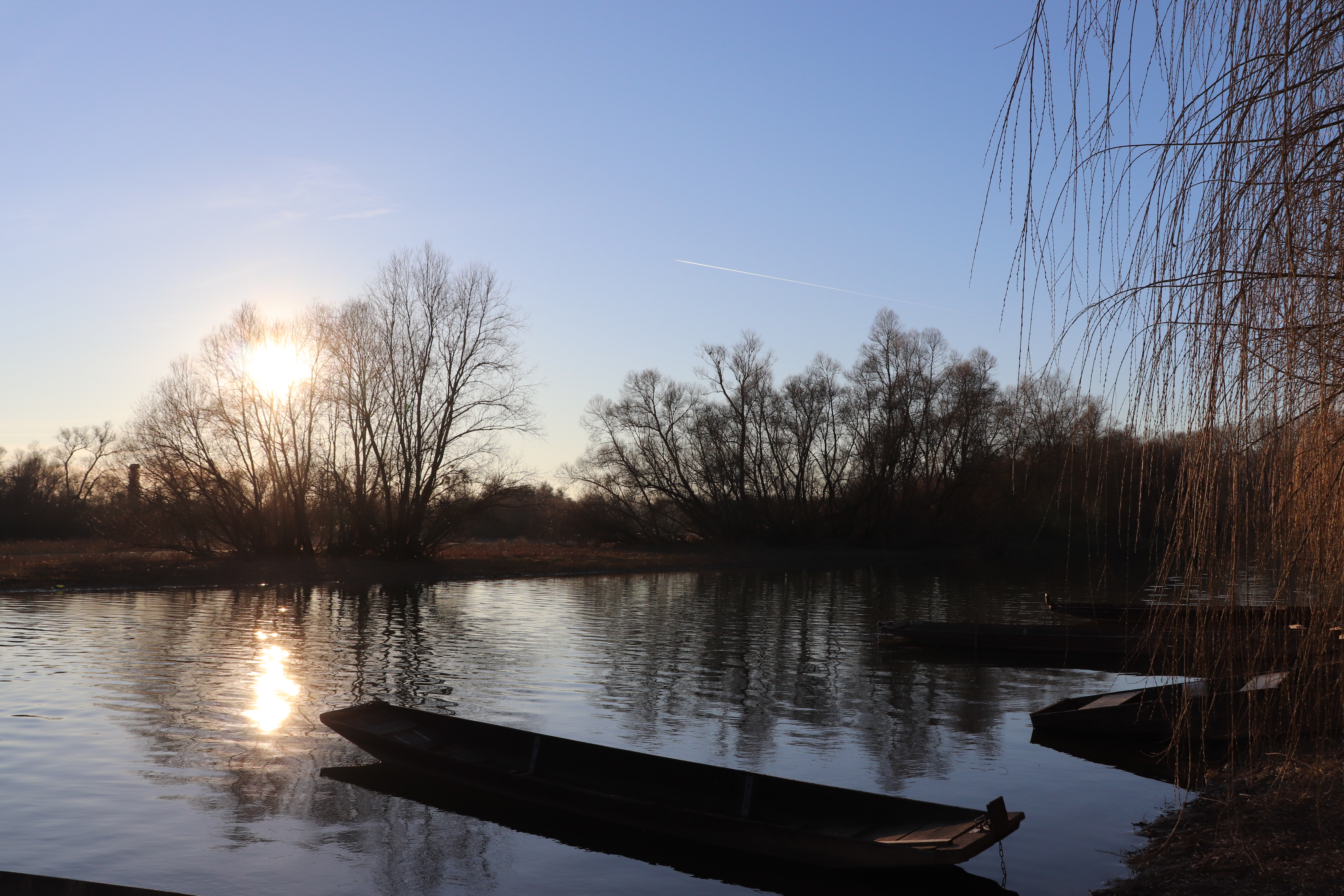 Photo n° 14 de l'avis de Thomas.c fait le 24/02/2019 à 19:03