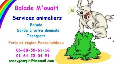Balade M'ouah à Saint-Mammès