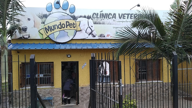 Mundo Pet Clínica Veterinaria - Veterinario