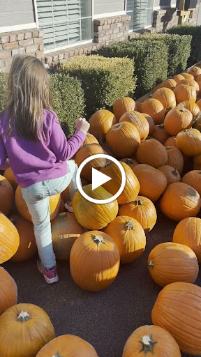 Personal Injury Attorney «Ritchie-Reiersen Injury & Immigration Attorneys», reviews and photos