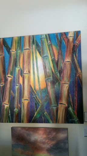 Cell Phone Store «Cricket Wireless Authorized Retailer», reviews and photos, 9115 Little Rd, New Port Richey, FL 34654, USA