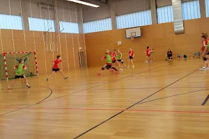 LSV Südwest Handball image