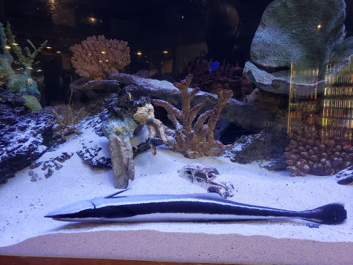 Car Wash «Simi Auto Spa & Speed Wash», reviews and photos, 1144 E Los Angeles Ave, Simi Valley, CA 93065, USA