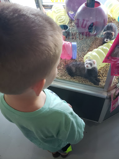 Pet Store «Parker Exotic Pets», reviews and photos, 17880 Cottonwood Dr, Parker, CO 80134, USA