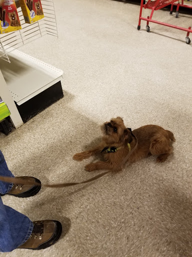 Pet Supply Store «PetSmart», reviews and photos, 777 S Willow St, Manchester, NH 03103, USA