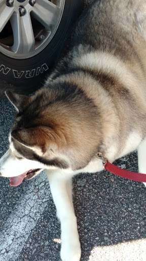 Pet Supply Store «Care-A-Lot Pet Supply Indian River», reviews and photos, 5457 Indian River Rd, Virginia Beach, VA 23464, USA