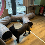 Photo n°2 de l'avis de Vanessa.e fait le 21/02/2024 à 16:40 sur le  Katzentempel Leipzig Mitte à Leipzig