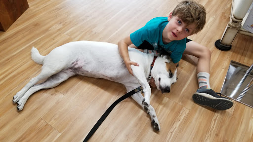 Pet Supply Store «All The Best Pet Care», reviews and photos, 1909 NW Market St, Seattle, WA 98107, USA