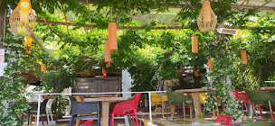 Photo n°97 de Le Vig Vog à Zonza ()