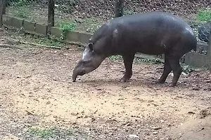 Parque Zoobotânico-Marabá image