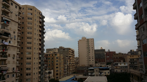 جناكليس رويال 