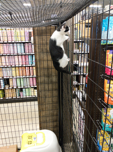 Pet Supply Store «Premier Pet Supply», reviews and photos, 15399 Merriman Rd, Livonia, MI 48154, USA