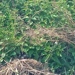 Photo n° 3 de l'avis de Gilles.o fait le 01/05/2023 à 15:48 pour Maison du Marais à Saint-Omer