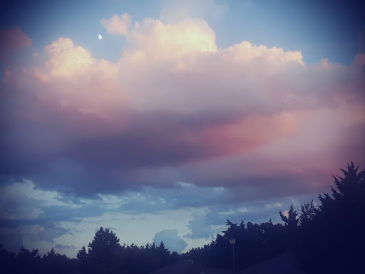 Park «Red Bird Park», reviews and photos, 1005 W Red Bird Ln, Dallas, TX 75232, USA