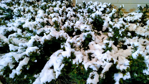 Department Store «Marshalls», reviews and photos, 454 Pinnacle Pkwy, Bristol, TN 37620, USA