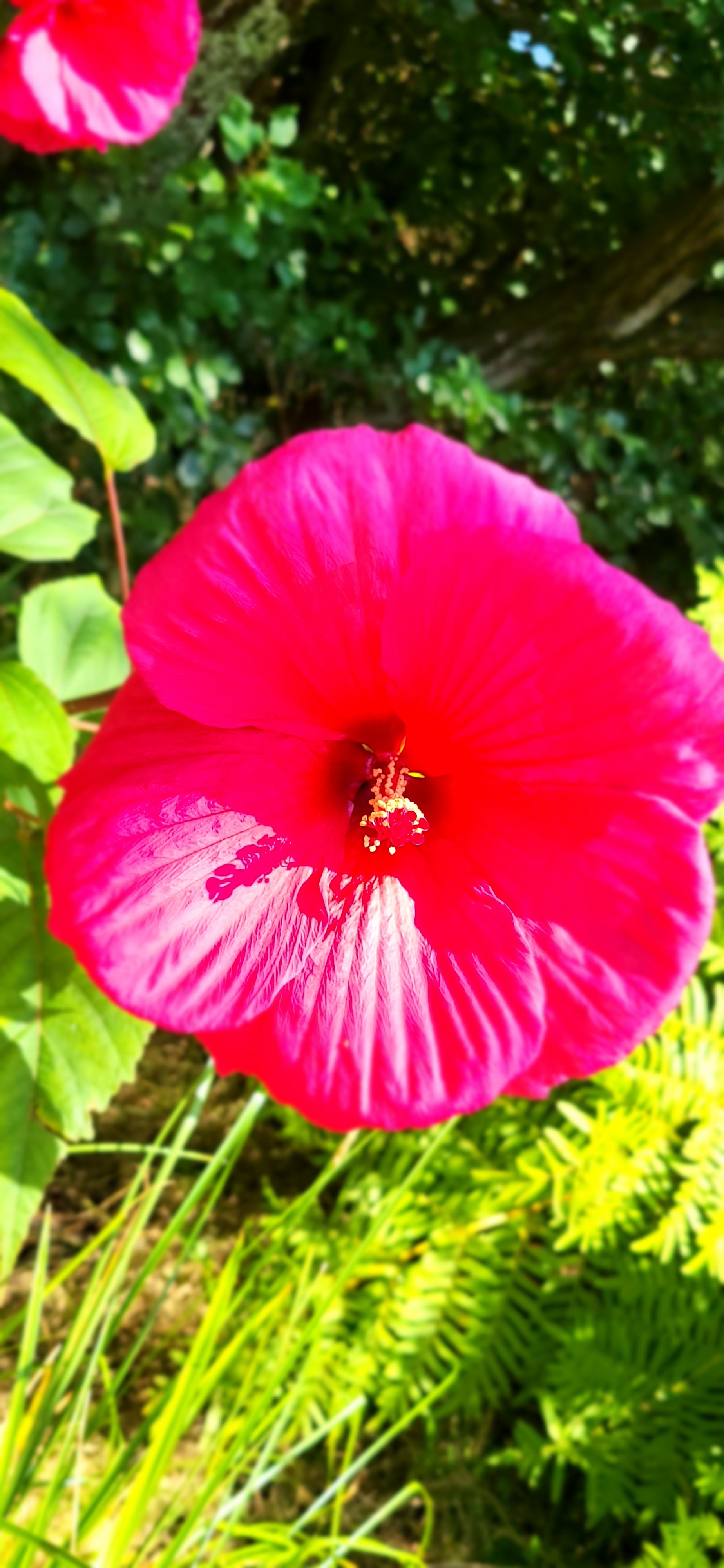 Photo n° 7 de l'avis de Béa.� fait le 21/08/2023 à 12:03