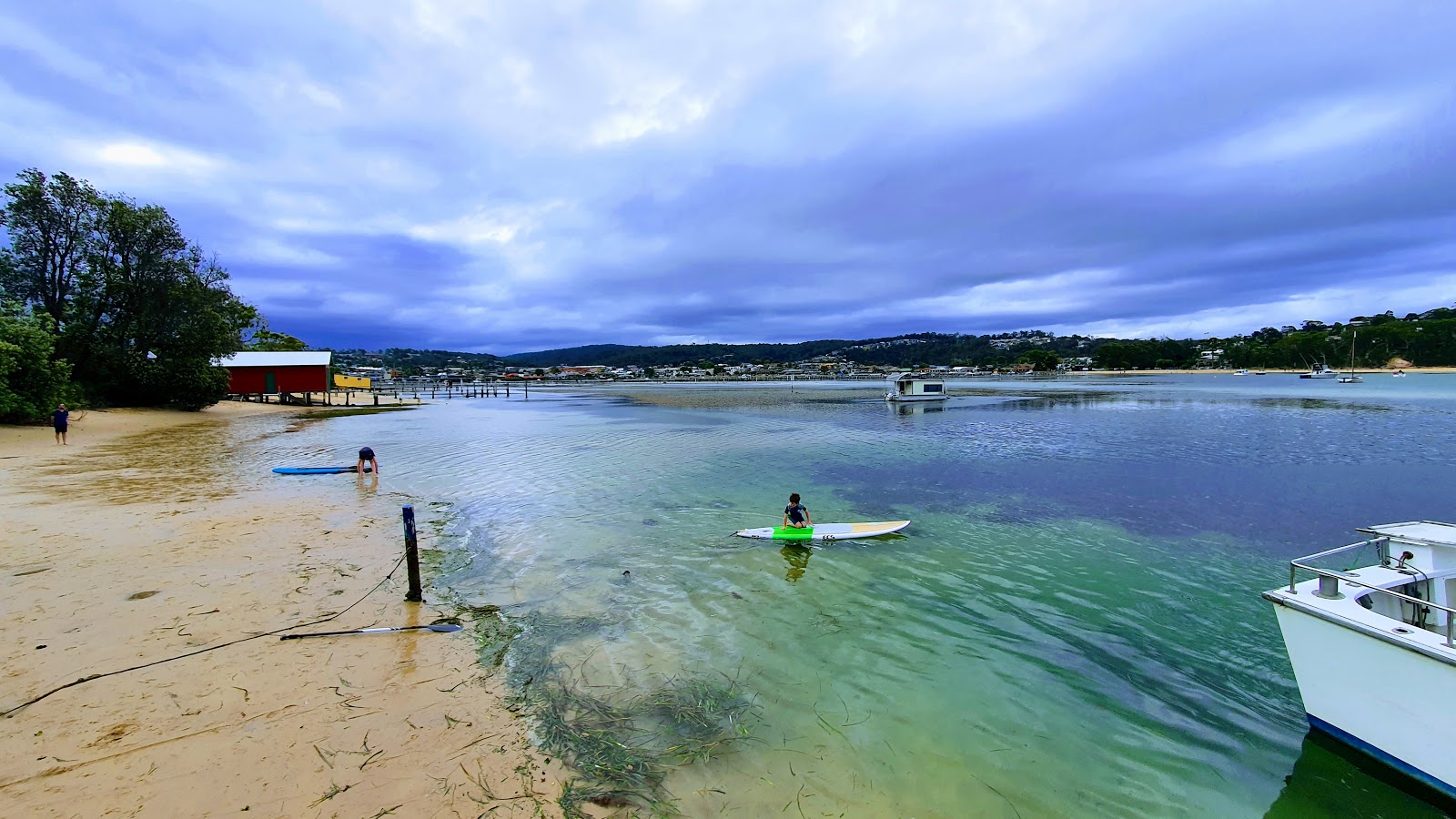 Photo de Mitchies Jetty Beach zone sauvage