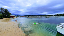 Photo de Mitchies Jetty Beach zone sauvage