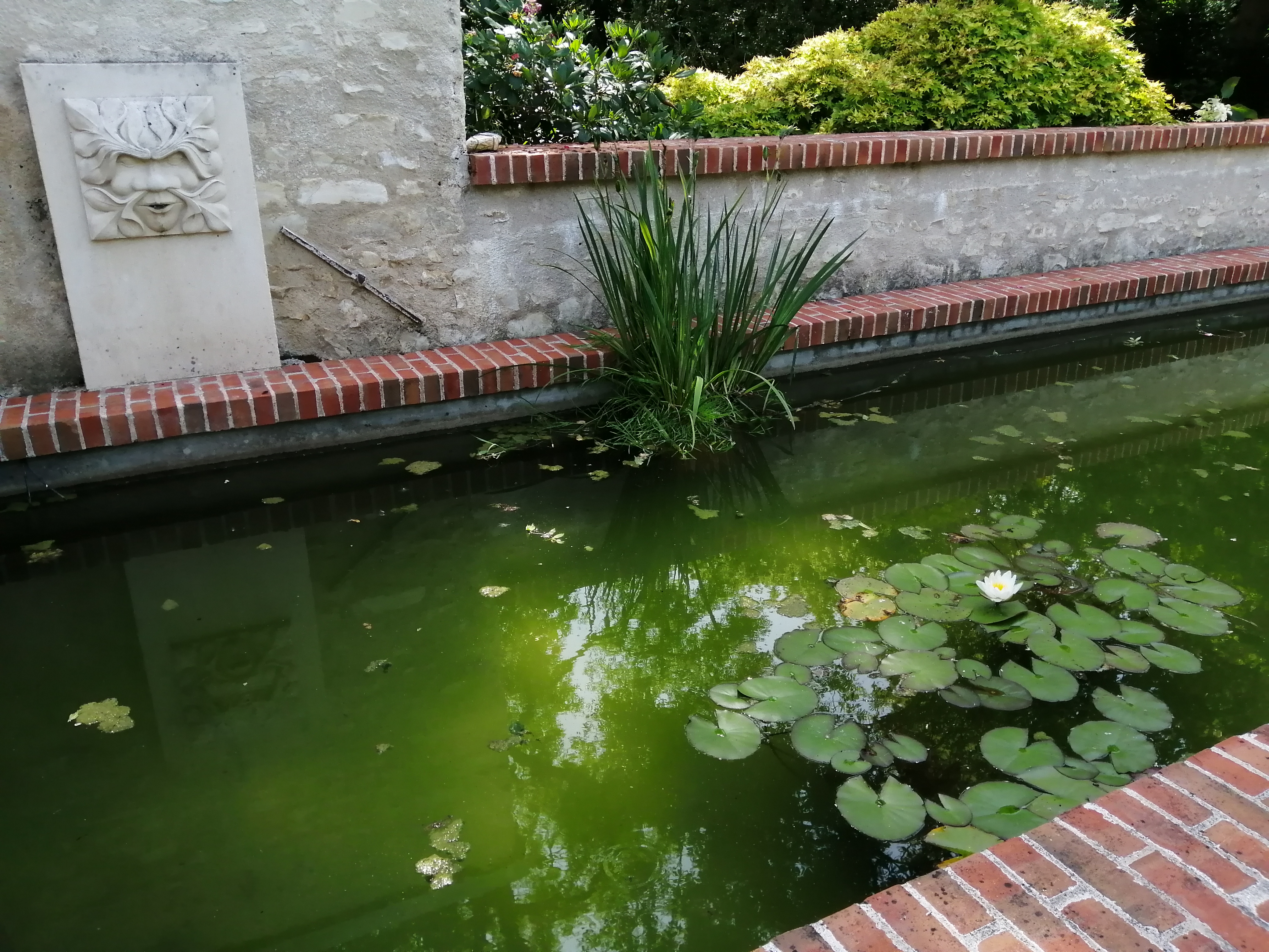 Photo n° 7 de l'avis de Marie-France.o fait le 27/07/2020 à 05:06