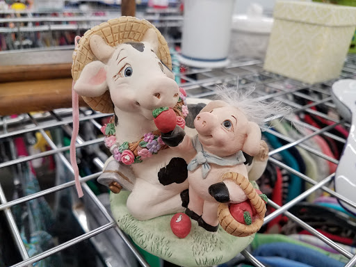 Non-Profit Organization «Goodwill of the Great Plains», reviews and photos