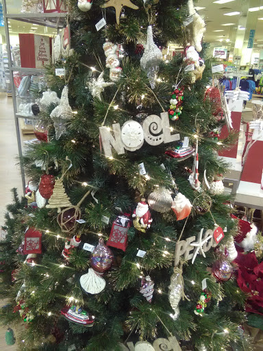 Clothing Store «Bealls Department Store», reviews and photos, 6241 N Davis Hwy, Pensacola, FL 32504, USA