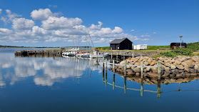 Venø Havn