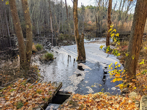 State Park «Ames Nowell State Park», reviews and photos, Linwood Street, Abington, MA 02351, USA