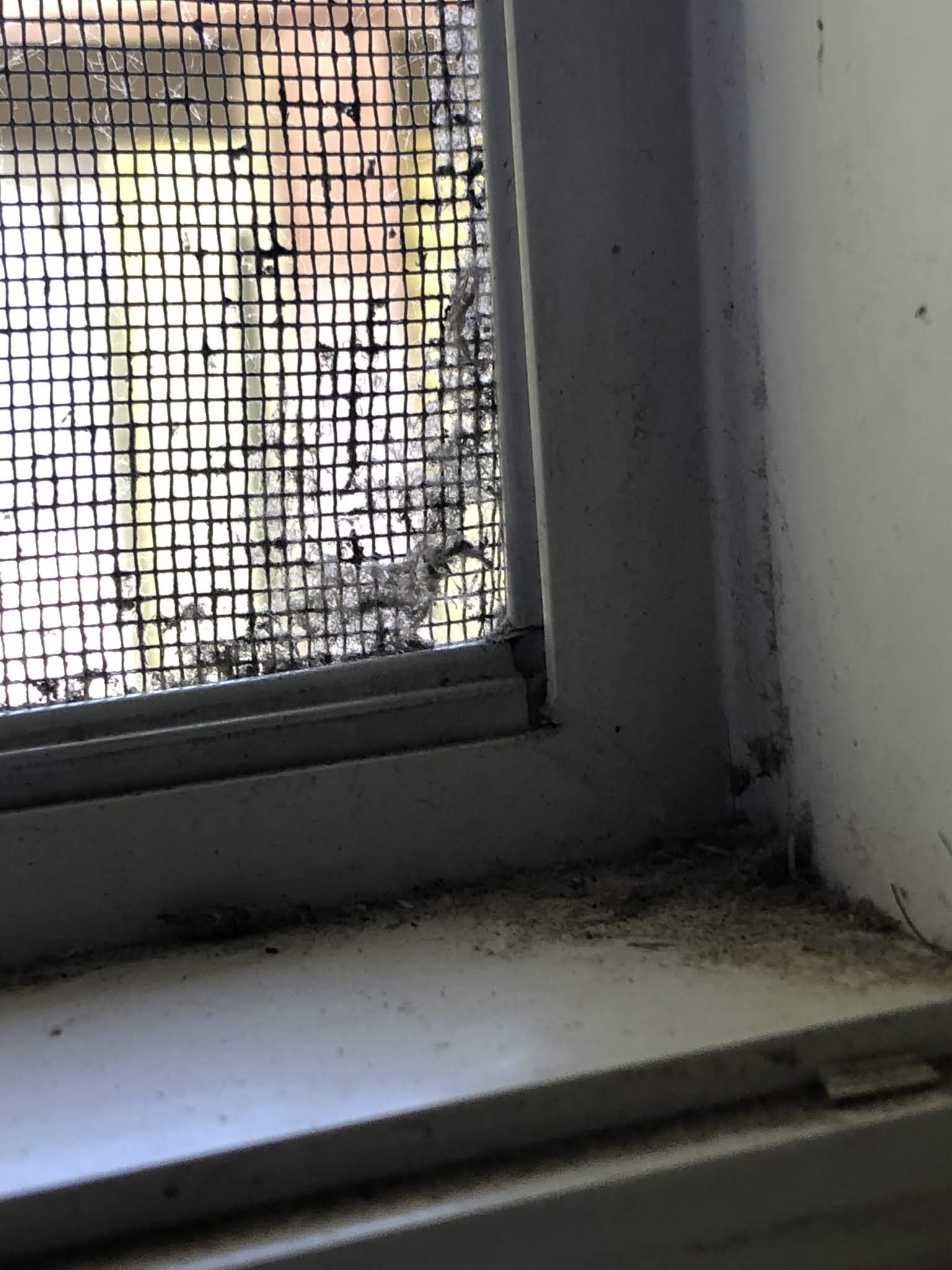 Photo n° 2 de l'avis de Ophelie.e fait le 14/09/2018 à 12:22