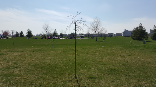 Park «Amber Fields Park», reviews and photos, 2754 Vicksburg Ln, Aurora, IL 60503, USA