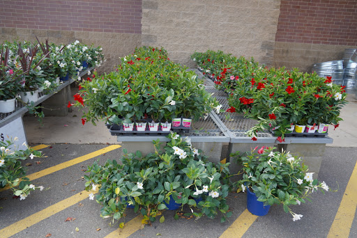 Home Improvement Store «The Home Depot», reviews and photos, 5800 Cedar Lake Rd, St Louis Park, MN 55416, USA