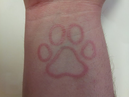 Tattoo Shop «Bayou City Body Shop Tattoo Studio», reviews and photos, 4025 Hwy 6 N #105b, Houston, TX 77084, USA