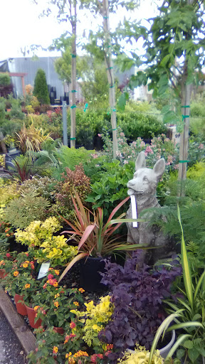 Hardware Store «Payless Hardware, Rockery and Nursery», reviews and photos, 2927 King Rd, San Jose, CA 95122, USA