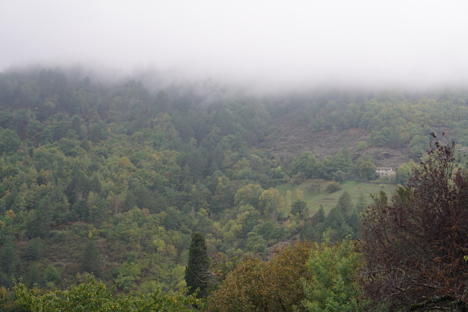 Photo n° 2 de l'avis de Pascal.a fait le 26/10/2022 à 15:03