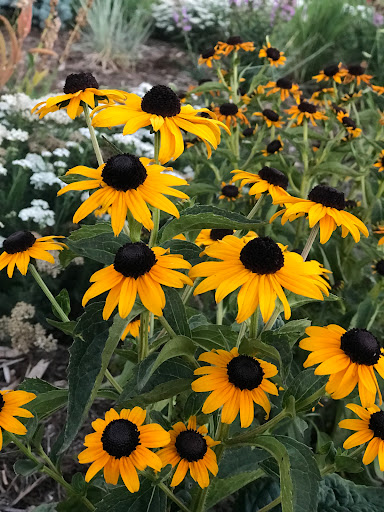 Park «Inspiration Point Park», reviews and photos, 4901 Sheridan Blvd, Denver, CO 80212, USA