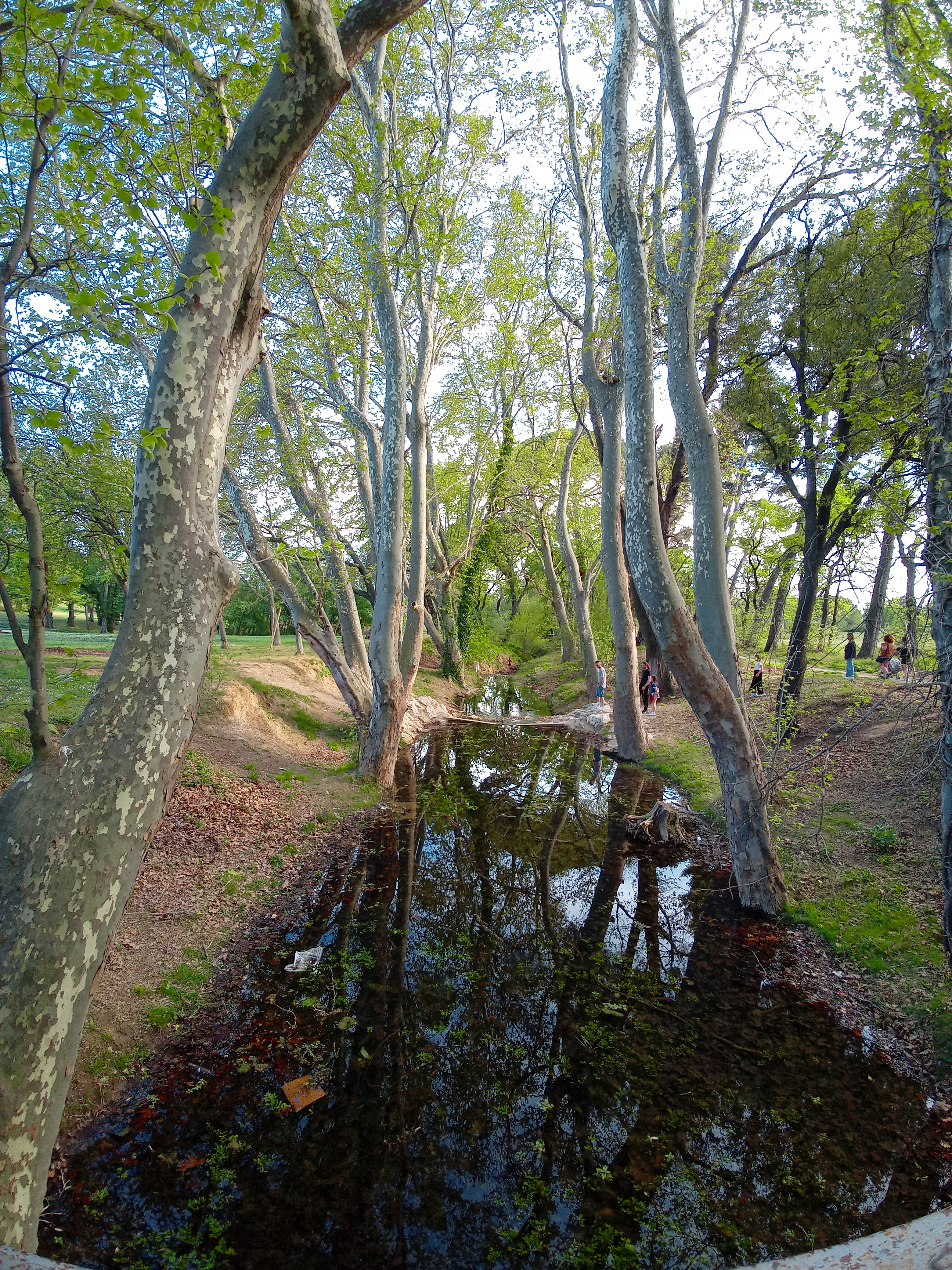 Photo n° 4 de l'avis de Cocco.i fait le 16/04/2022 à 18:35
