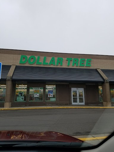 Dollar Store «Dollar Tree», reviews and photos, 2401 Fairview Ave N, Roseville, MN 55113, USA